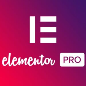Elementor Pro : Éditeur de page WordPress